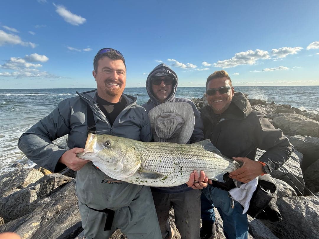 Striped Bass caught by R C, October 2025