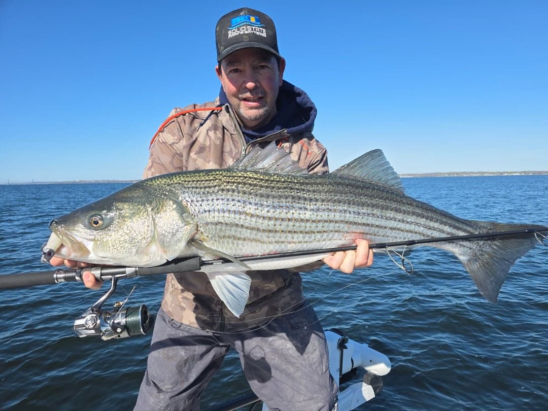 Striped Bass caught by Get Tight Sport Fishing Captain Brian Coombs, April 2026