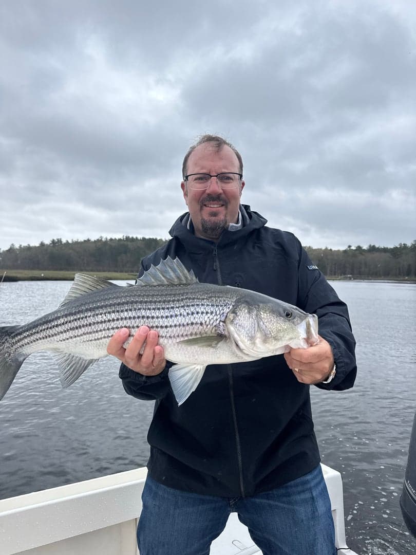 Striped Bass caught by William Mckim, May 2026