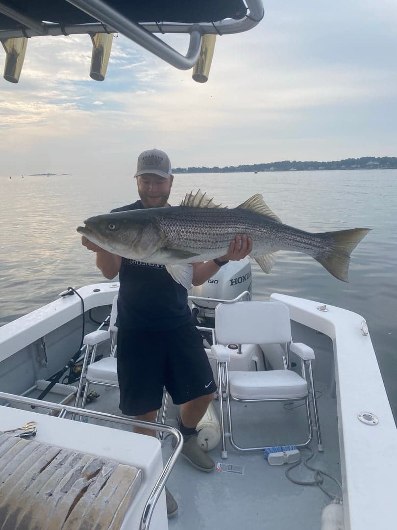 Striped Bass caught by Jakob Wikar, August 2023