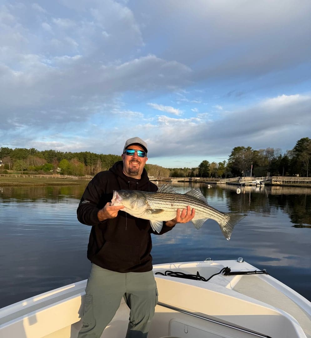 Striped Bass caught by William Mckim, May 2026