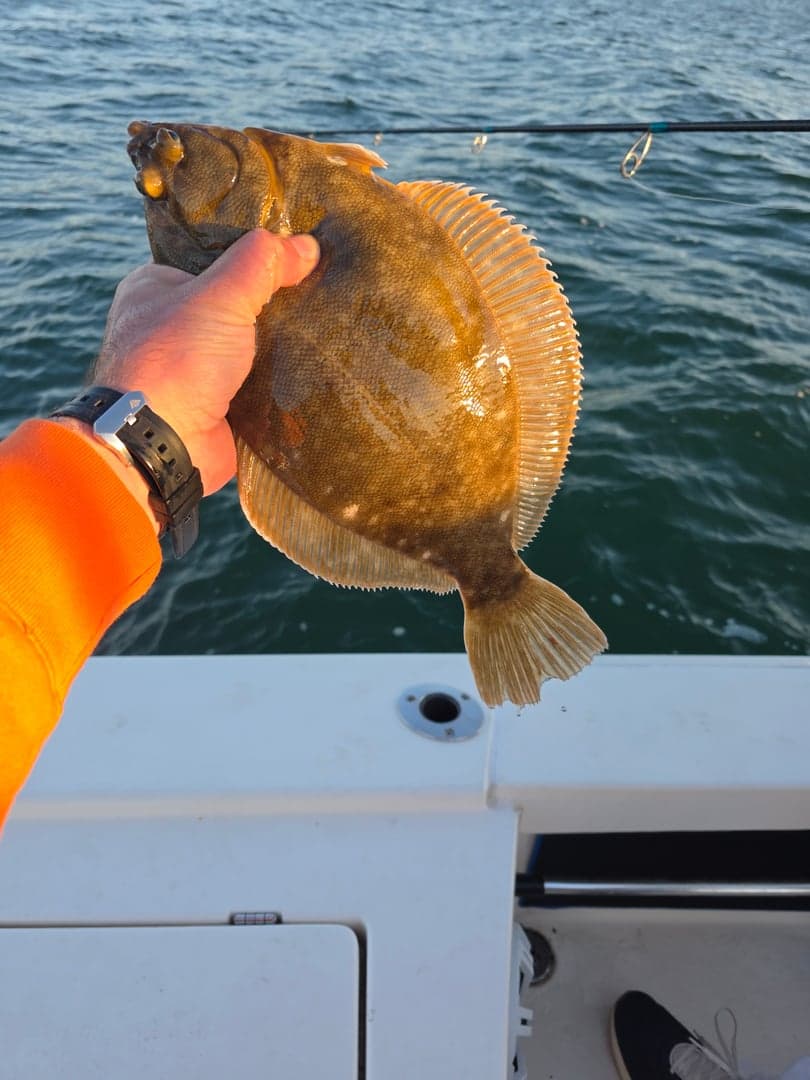 Arrowtooth Flounder caught by Get Tight Sport Fishing Captain Brian Coombs, May 2026