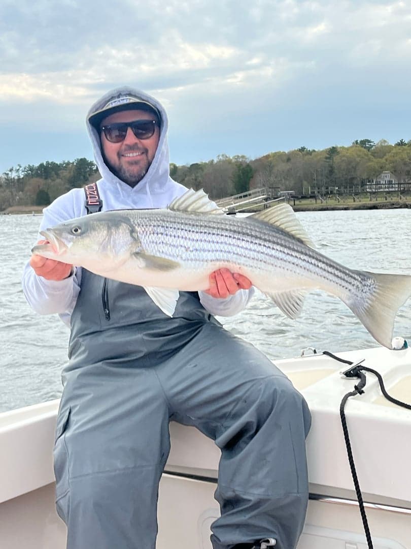 Striped Bass caught by William Mckim, May 2026