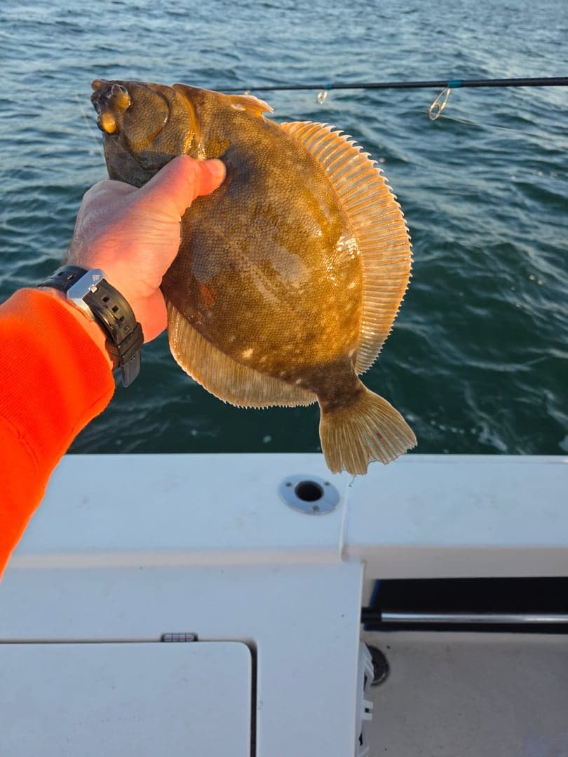 Arrowtooth Flounder caught by Get Tight Sport Fishing Captain Brian Coombs, May 2026
