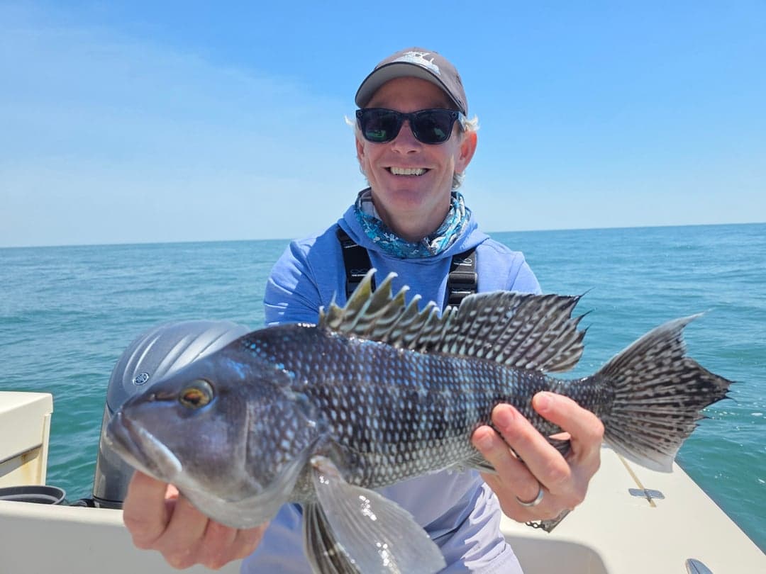 Black Sea Bass caught by Get Tight Sport Fishing Captain Brian Coombs, May 2026