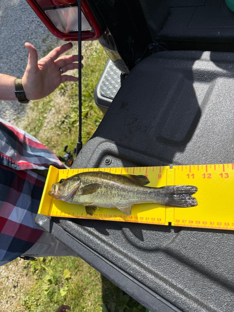 Largemouth Bass caught by Scott Van Wye, May 2026
