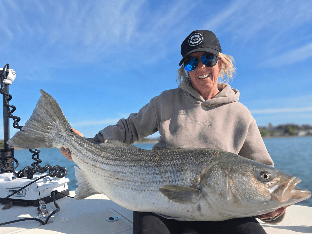 Striped Bass caught by Get Tight Sport Fishing Captain Brian Coombs, May 2026