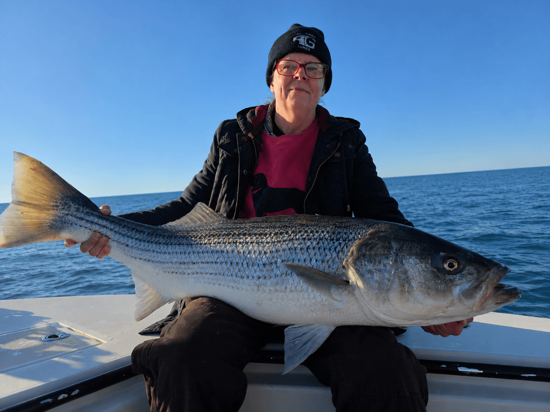 Striped Bass caught by Get Tight Sport Fishing Captain Brian Coombs, June 2026