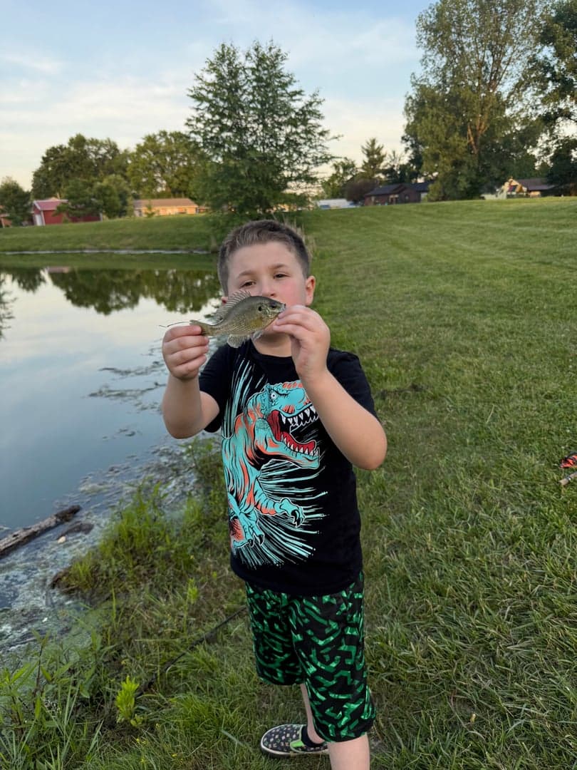 Bluegill caught by Scott Van Wye, June 2026