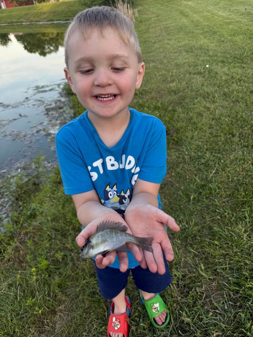 Bluegill caught by Scott Van Wye, June 2026