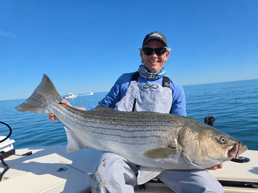 Striped Bass caught by Get Tight Sport Fishing Captain Brian Coombs, June 2026
