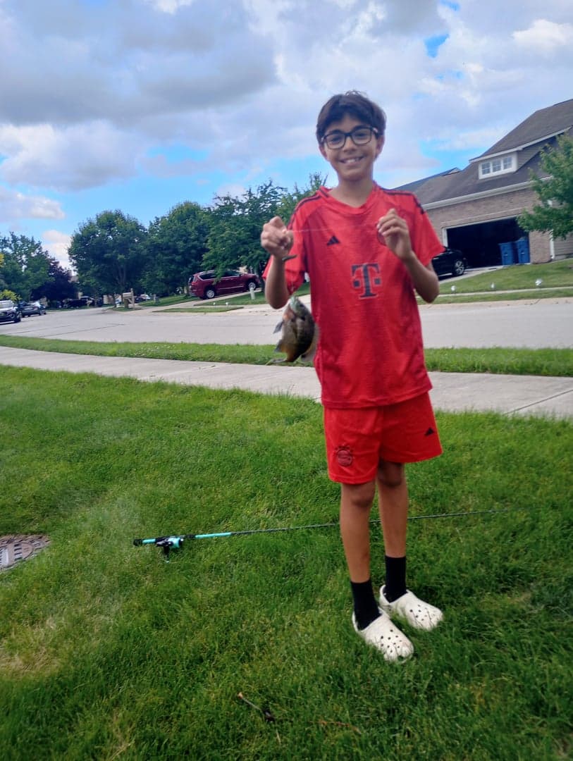 Bluegill caught by Yazan Abuhassan, June 2026