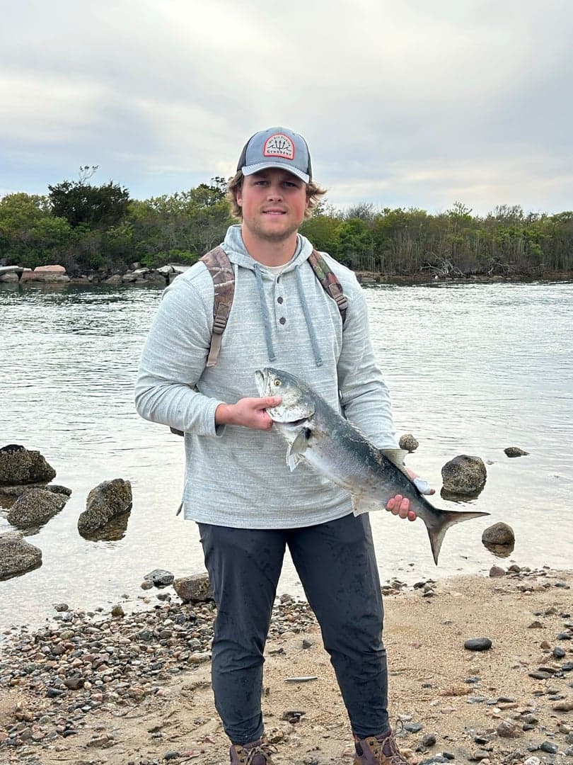 Bluefish caught by joebasso18, May 2026