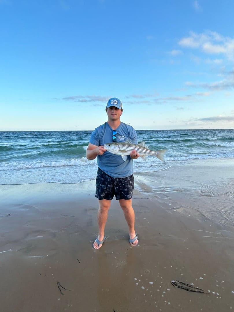 Striped Bass caught by joebasso18, September 2025