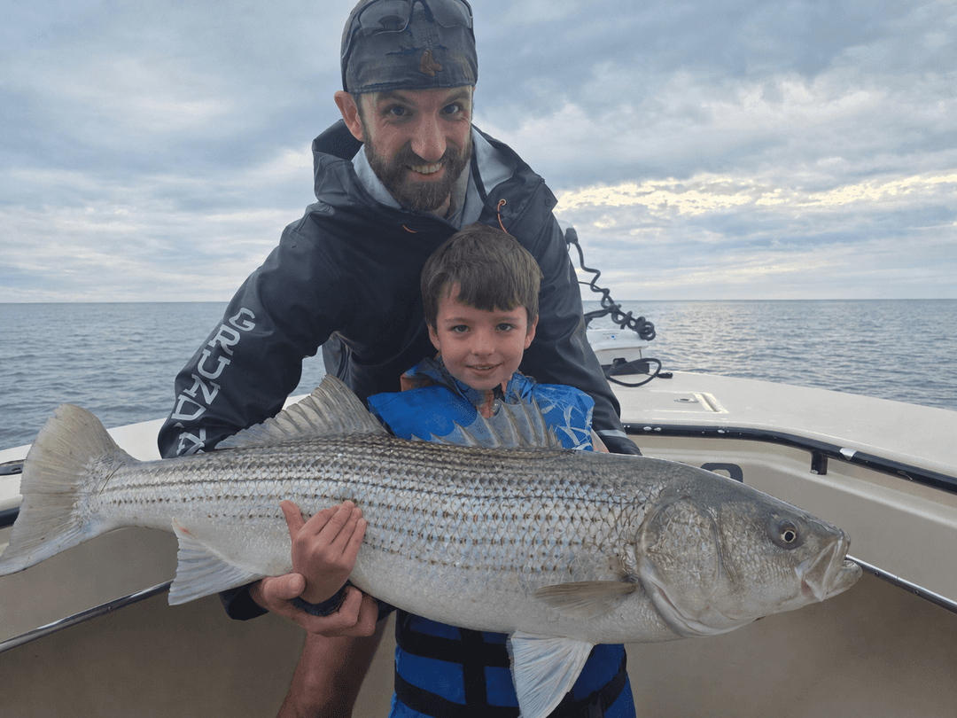 Striped Bass caught by Get Tight Sport Fishing Captain Brian Coombs, June 2026