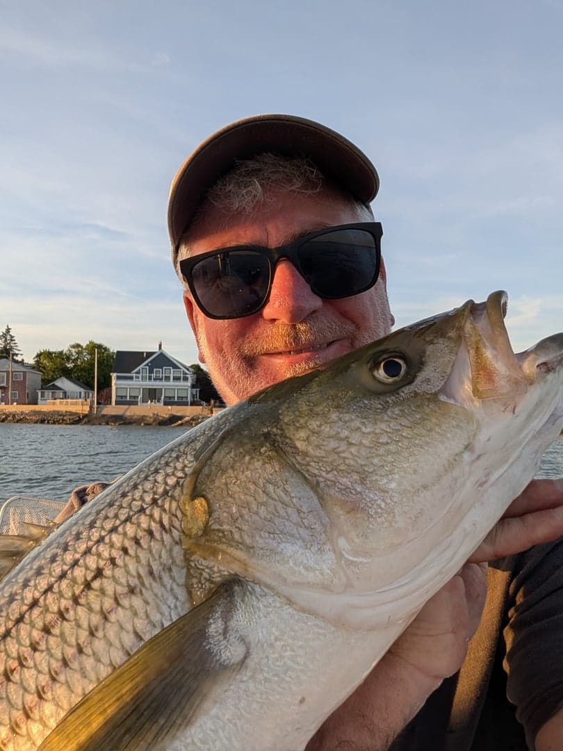 Striped Bass caught by Daniel Hermann, June 2026