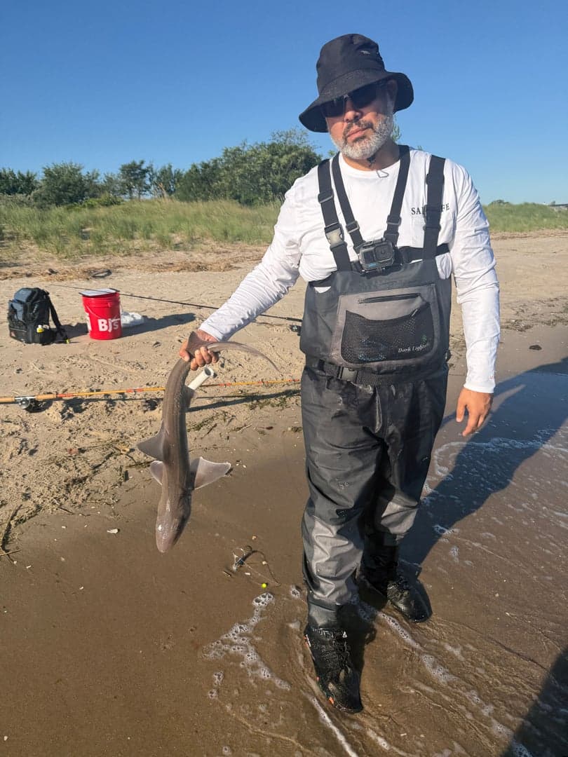 Spiny Dogfish caught by Julio Rivera, June 2026