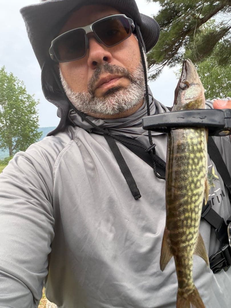 Grass pickerel caught by Julio Rivera, June 2026