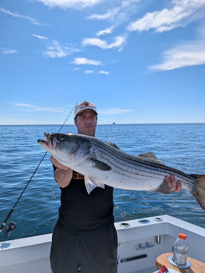 Striped Bass caught by Daniel Hermann, June 2026