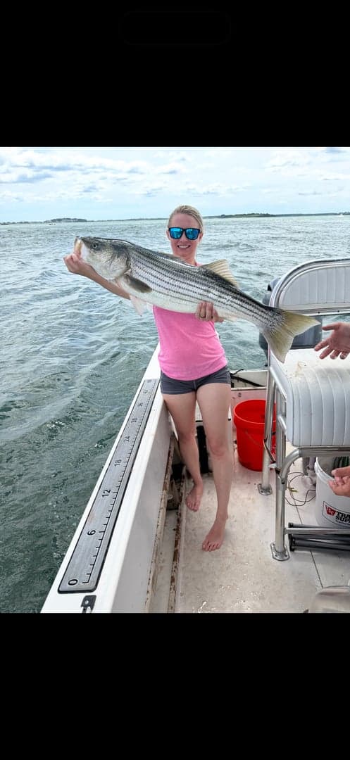 Striped Bass caught by striperswiper98, June 2026