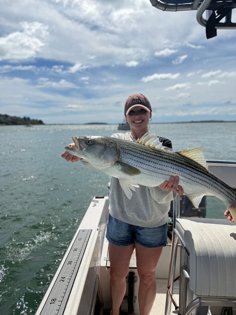 Striped Bass caught by striperswiper98, June 2026