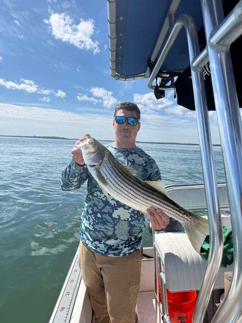 Striped Bass caught by striperswiper98, June 2026