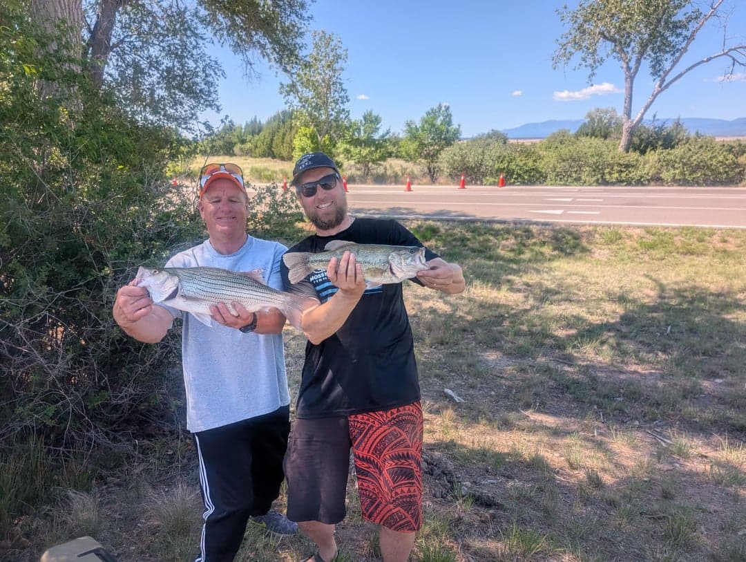Largemouth Bass caught by - -, May 2026