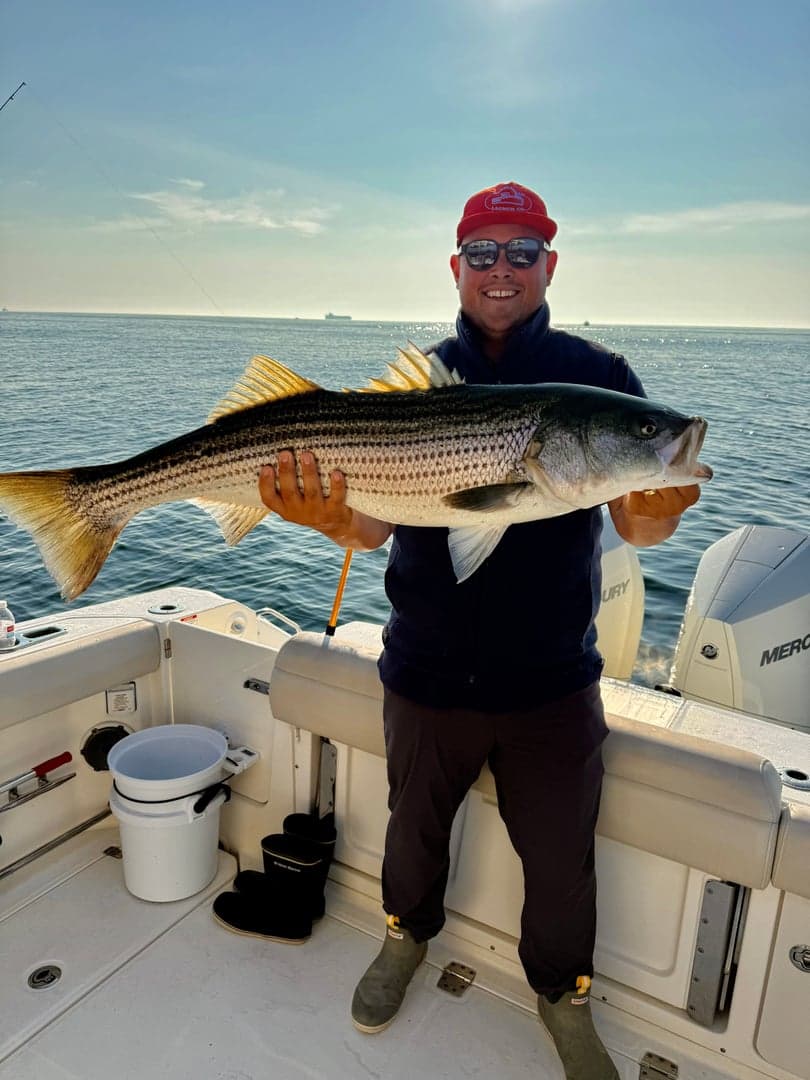 Striped Bass caught by Charles Svirk, June 2026