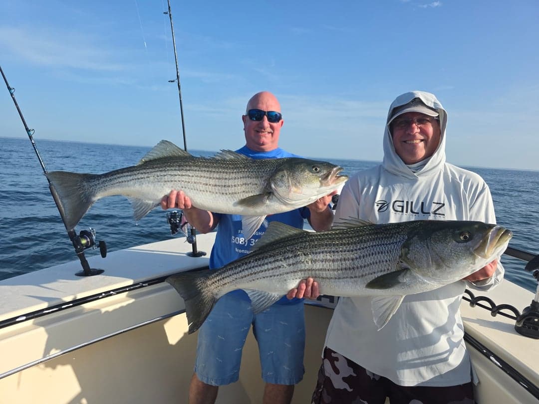 Striped Bass caught by Get Tight Sport Fishing Captain Brian Coombs, July 2026