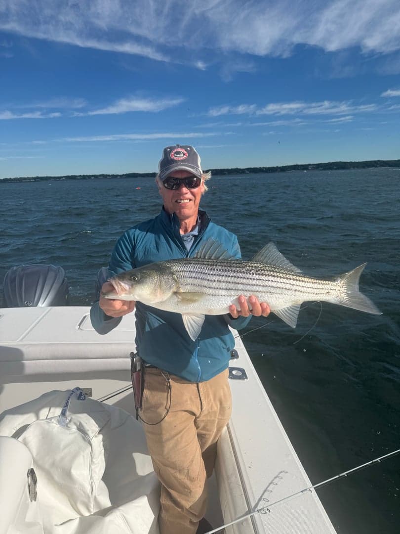 Striped Bass caught by Will Danforth, June 2026