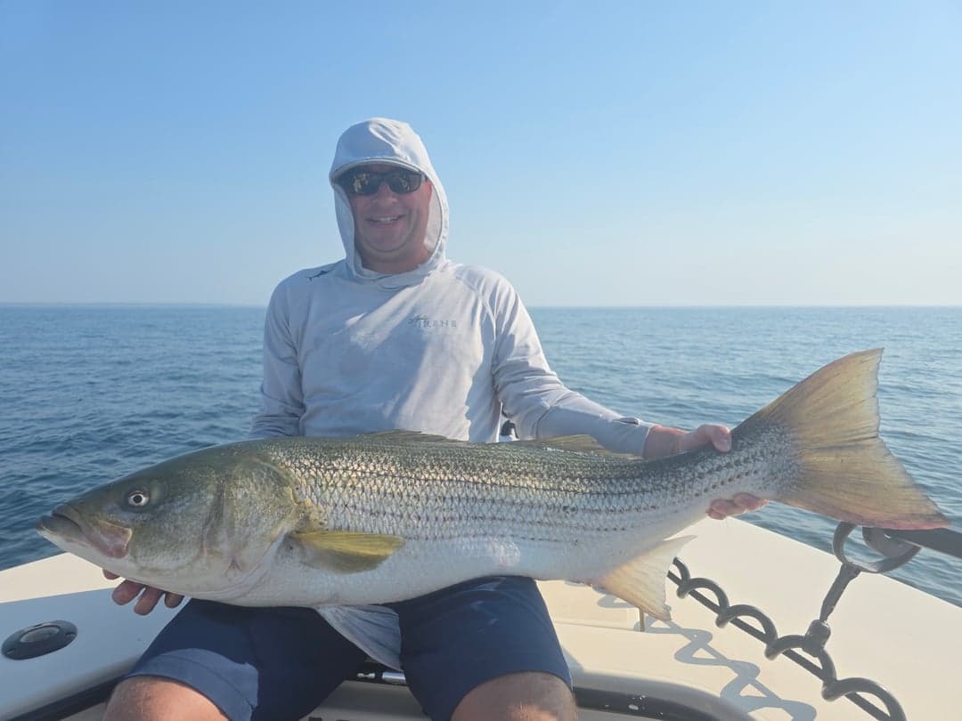 Striped Bass caught by Get Tight Sport Fishing Captain Brian Coombs, July 2026