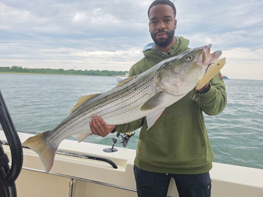 Striped Bass caught by Get Tight Sport Fishing Captain Brian Coombs, July 2026