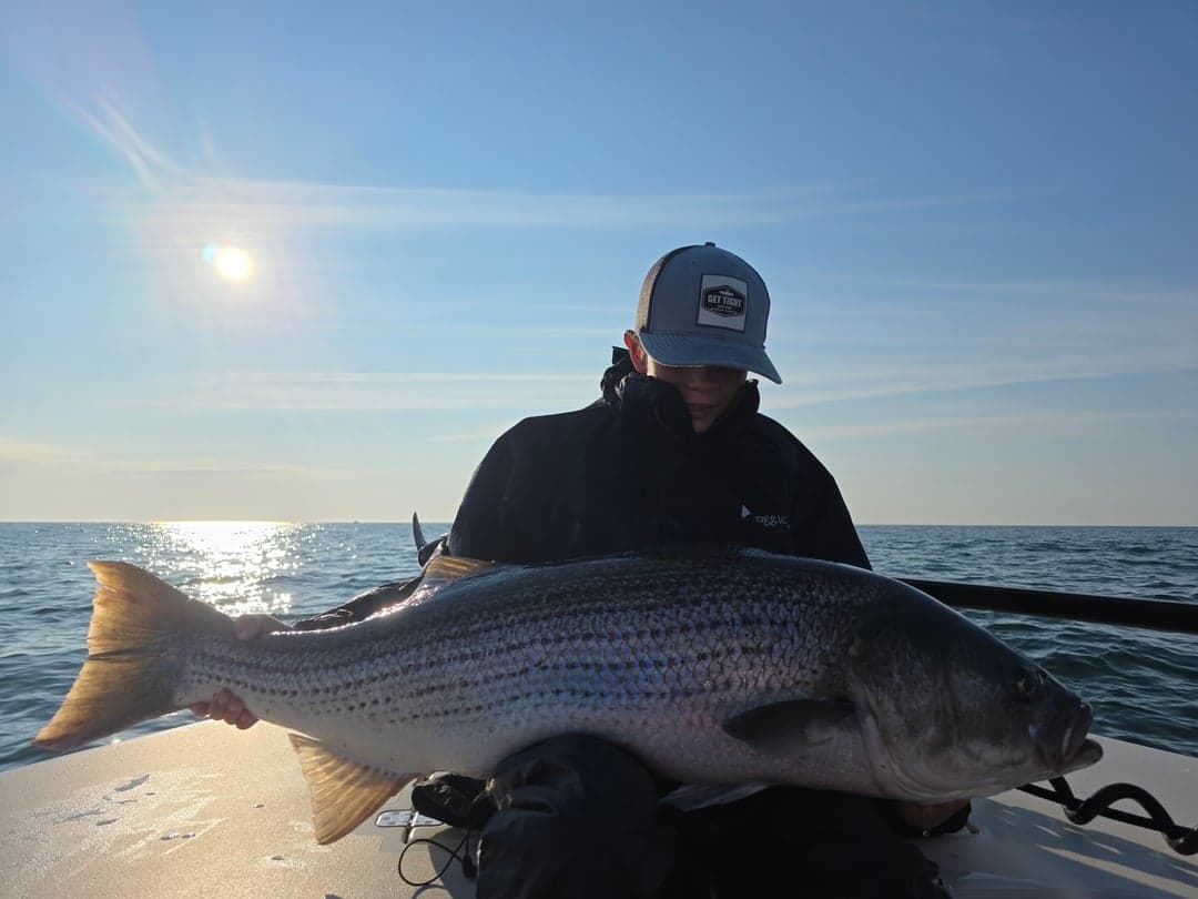 Striped Bass caught by Get Tight Sport Fishing Captain Brian Coombs, July 2026