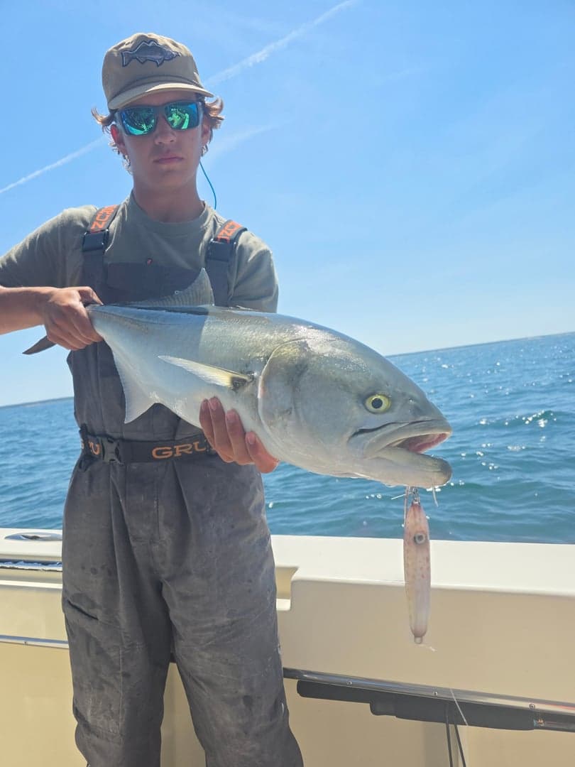 Striped Bass caught by Get Tight Sport Fishing Captain Brian Coombs, July 2026