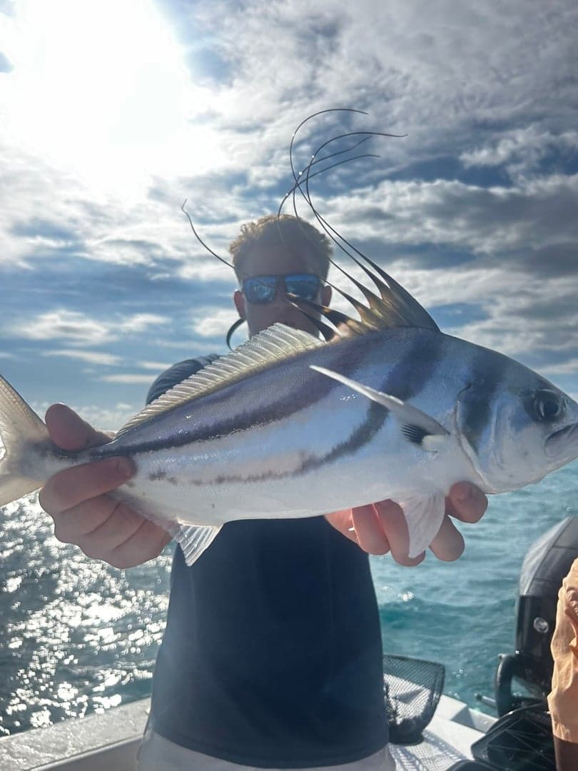 Roosterfish caught by Maxwell Dunn, July 2025