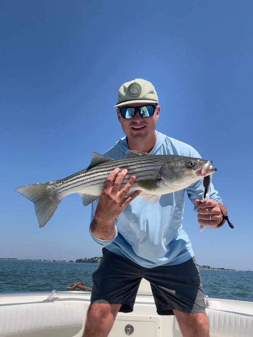 Whiterock Bass caught by Michael Walsh, July 2026