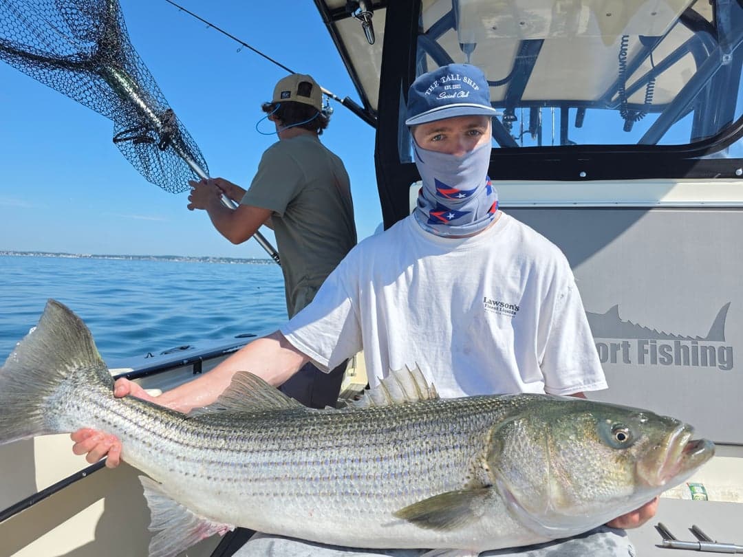 Striped Bass caught by Get Tight Sport Fishing Captain Brian Coombs, August 2026
