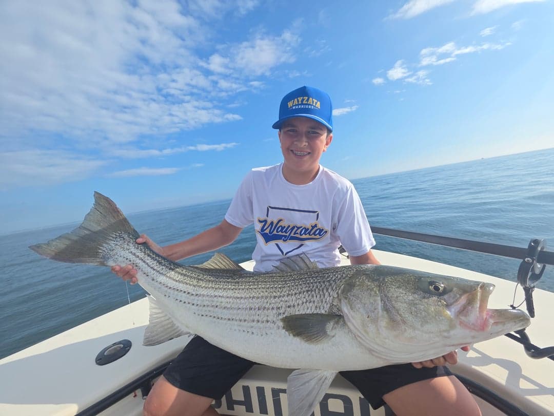 Striped Bass caught by Get Tight Sport Fishing Captain Brian Coombs, August 2026