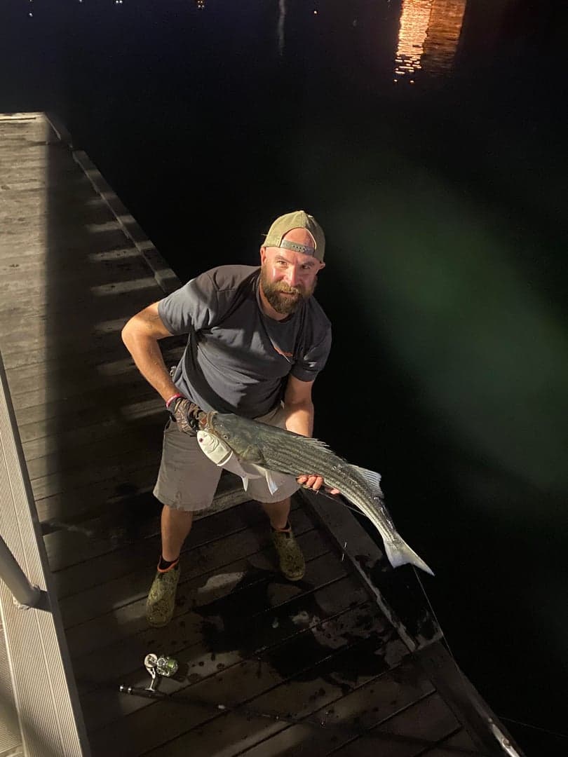 Striped Bass caught by Erich White, June 2026