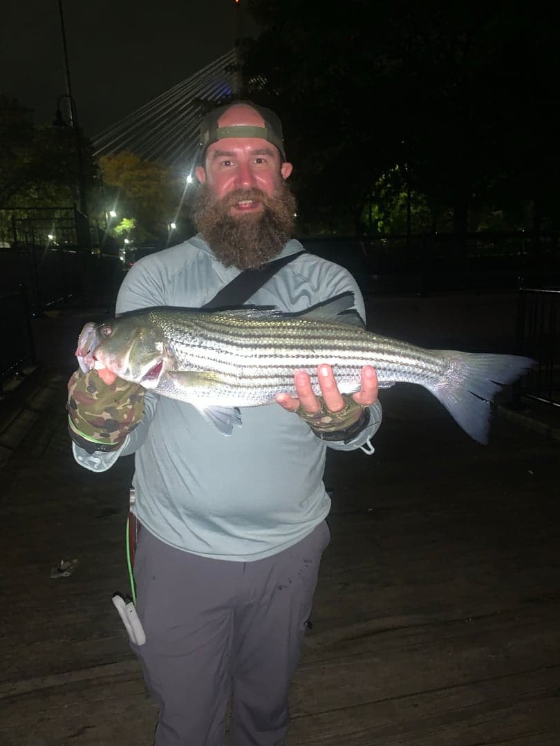 Striped Bass caught by Erich White, August 2026