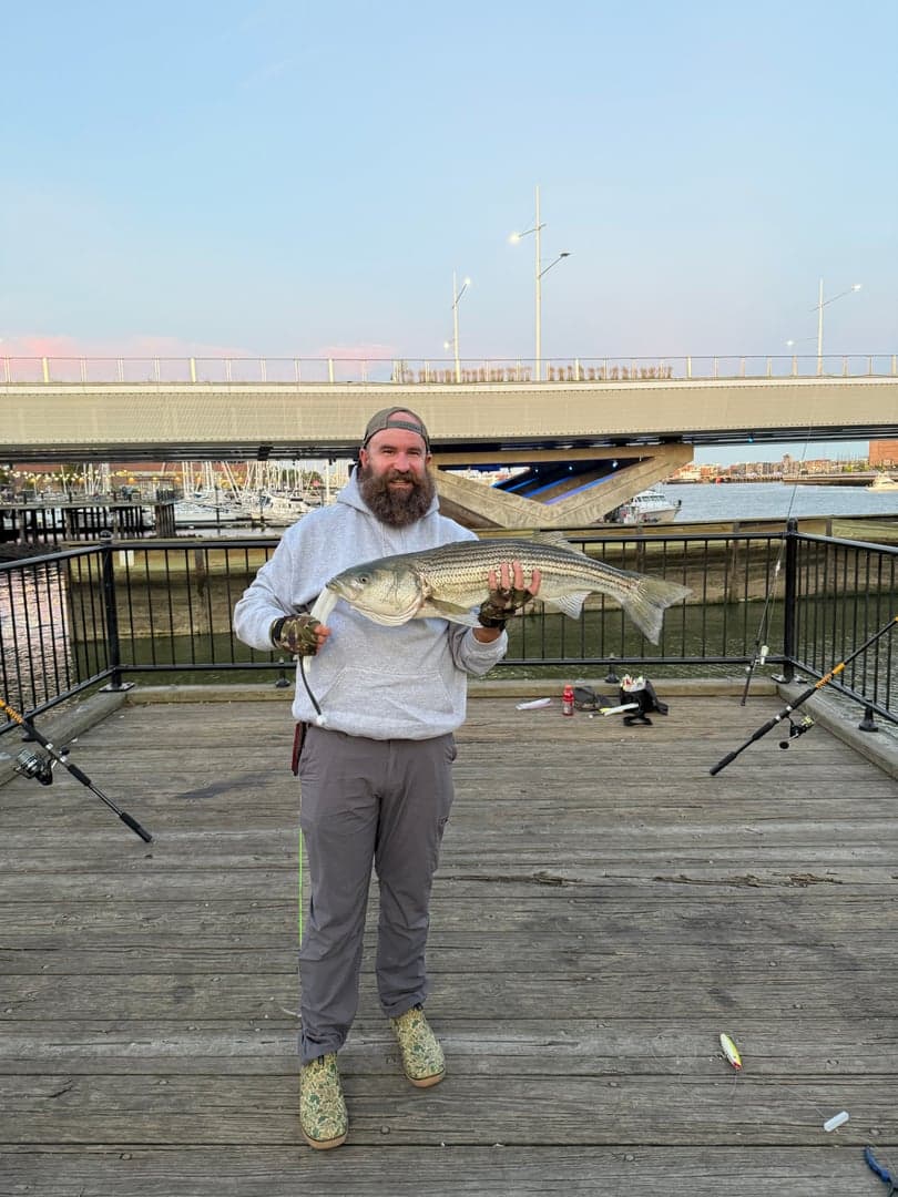 Striped Bass caught by Erich White, August 2026