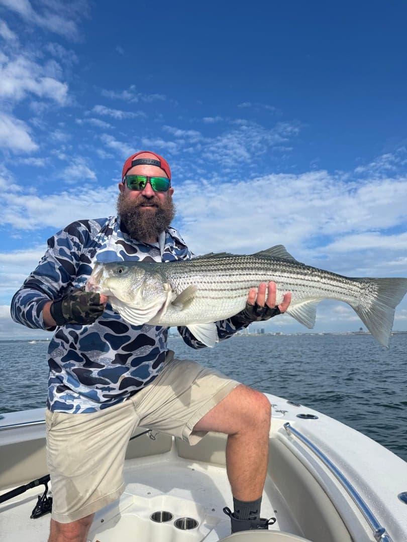 Striped Bass caught by Erich White, August 2026