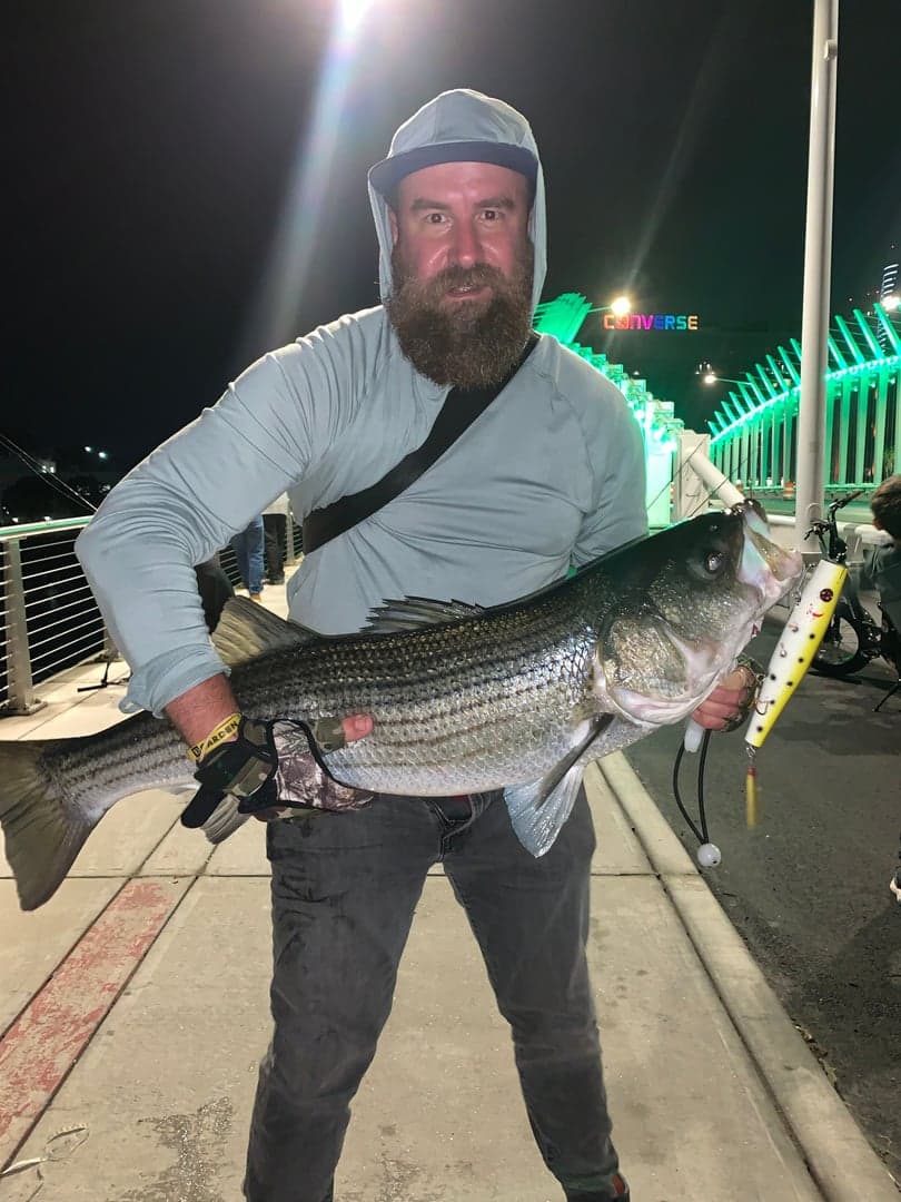 Striped Bass caught by Erich White, August 2026
