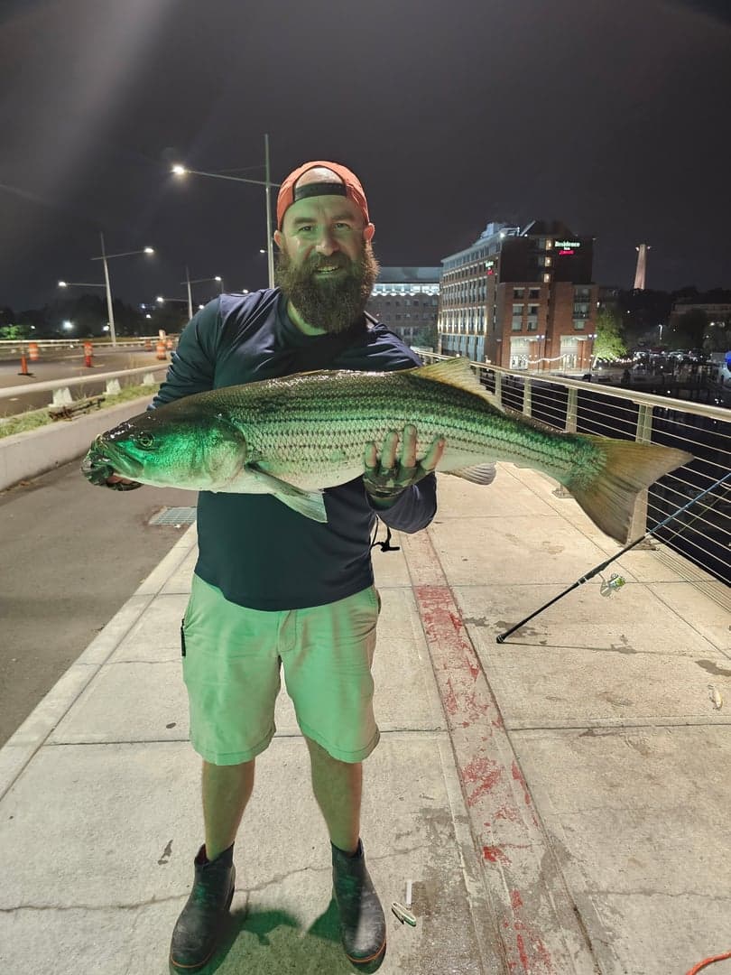 Striped Bass caught by Erich White, August 2026