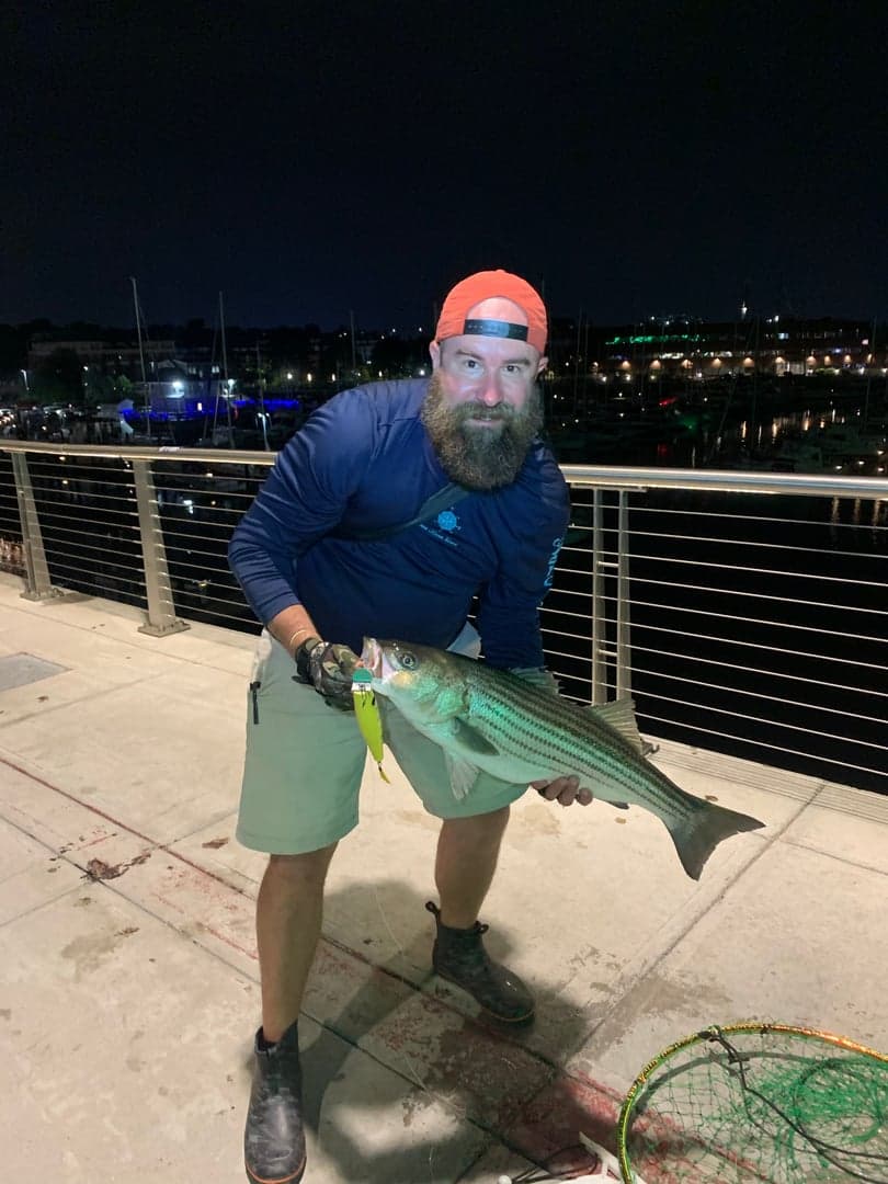 Striped Bass caught by Erich White, August 2026