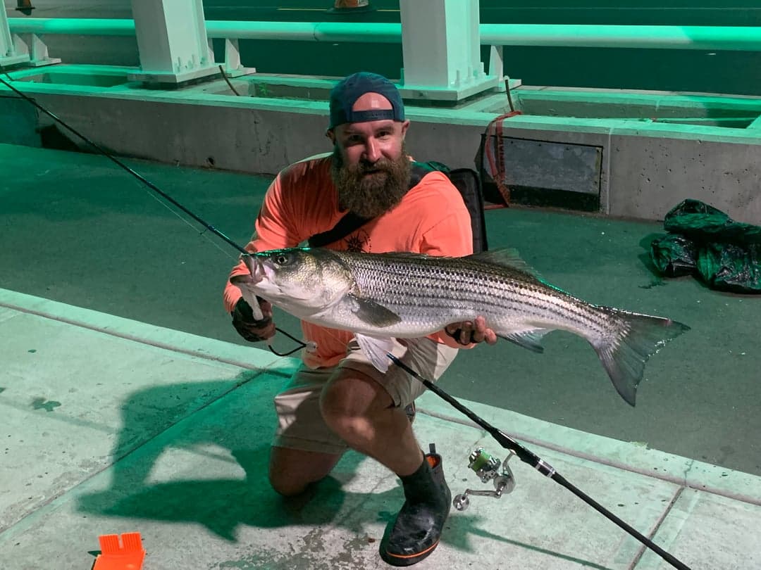 Striped Bass caught by Erich White, August 2026