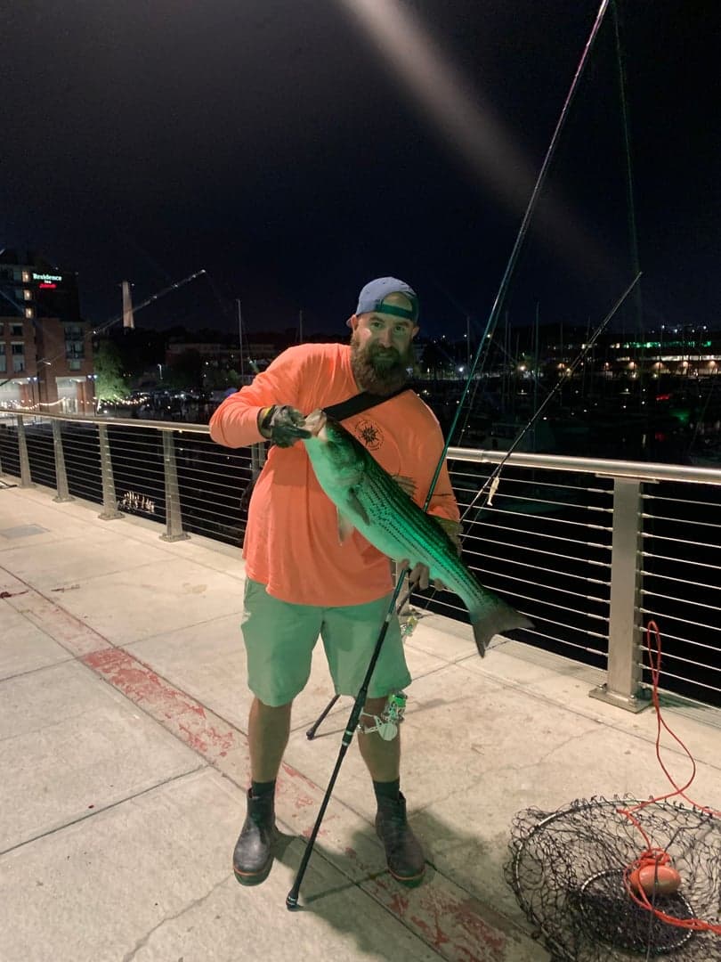 Striped Bass caught by Erich White, August 2026