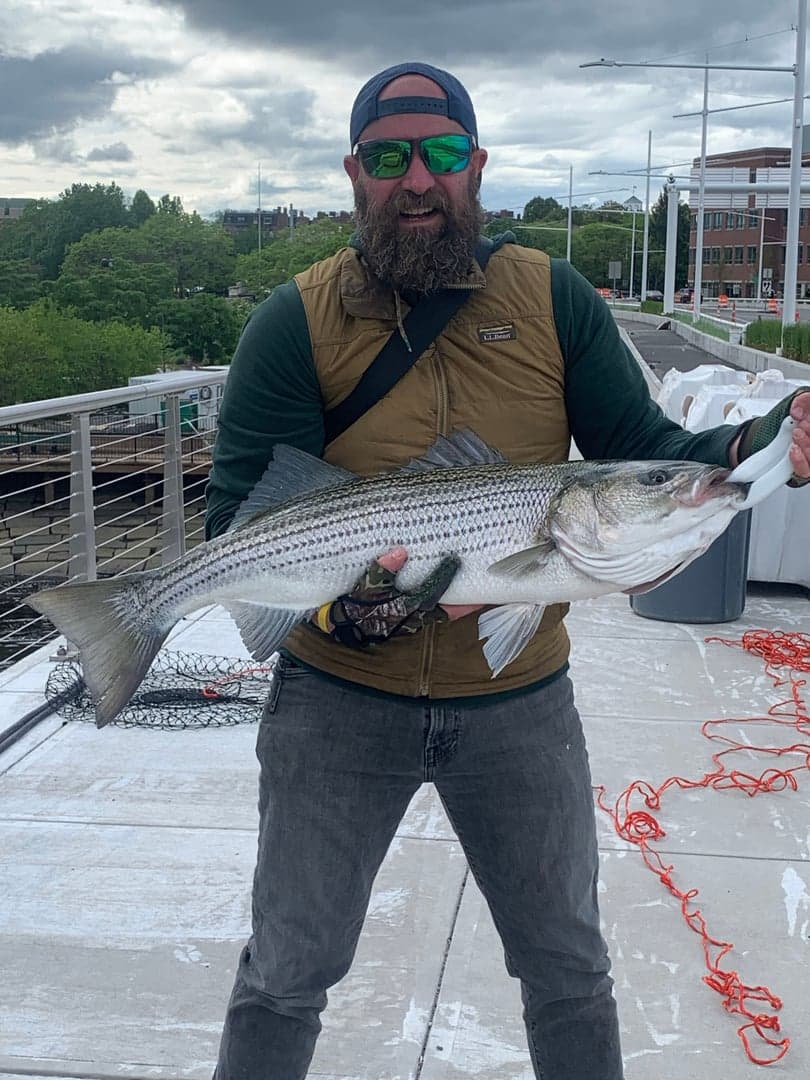 Striped Bass caught by Erich White, August 2026