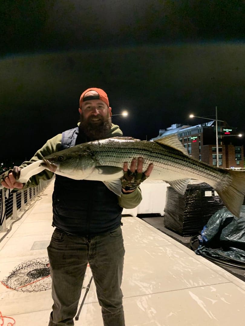 Striped Bass caught by Erich White, August 2026