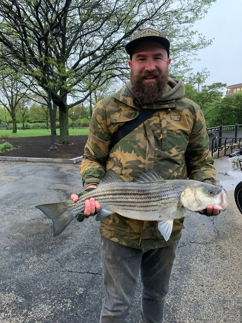 Striped Bass caught by Erich White, August 2026